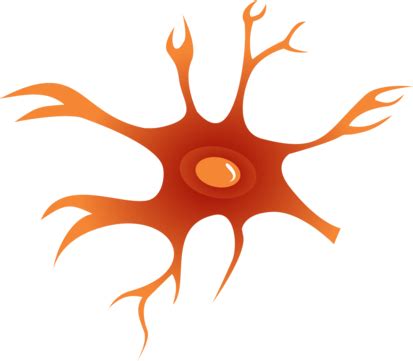 Neuron PNG, Vector, PSD, and Clipart With Transparent Background for Free Download | Pngtree