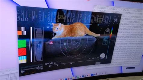 NASA laser-beams adorable cat video to Earth from 19 million miles away (video) | Space