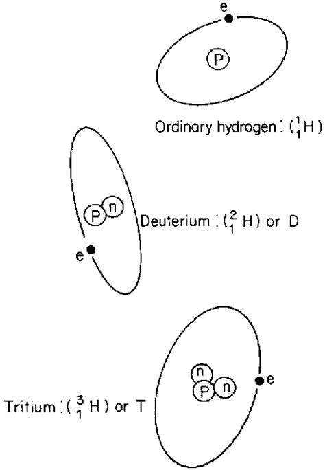 3 The isotopes of hydrogen. | Download Scientific Diagram