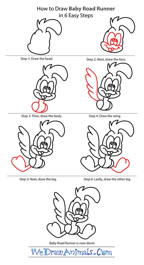 How to Draw Baby Road Runner From Looney Tunes