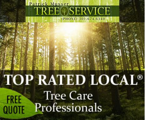 7 Tree Care Marketing Tips, Tricks and Lead Generation Strategies