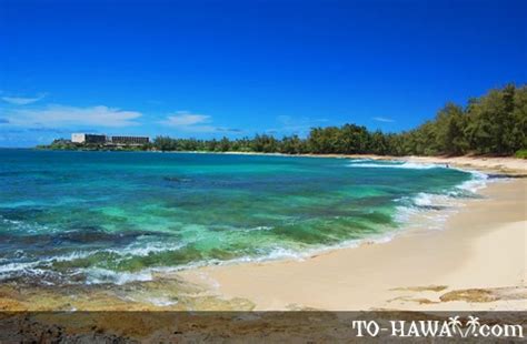 Turtle Bay, Oahu