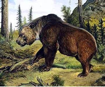 Atlas bear - Alchetron, The Free Social Encyclopedia