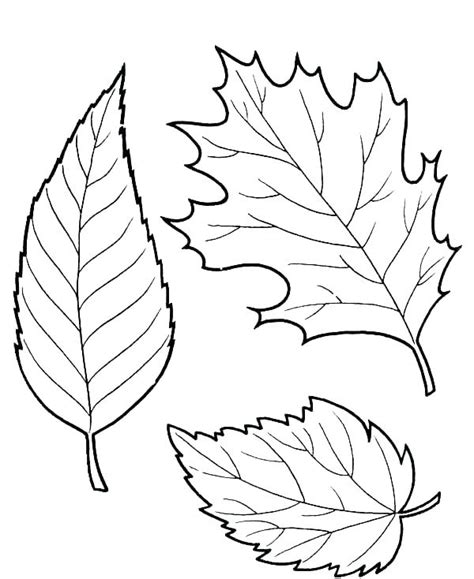 Fall Leaves Coloring Pages - Best Coloring Pages For Kids