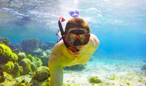 25 Best Turks And Caicos Snorkeling Spots ideas | best snorkeling, snorkeling, turks and caicos