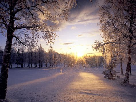 Animated Snow Falling Wallpaper - WallpaperSafari