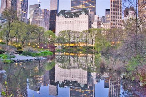 The 13 Best Hotels with Central Park Views in New York City | TripTins