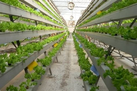 Modern sustainable farming techniques