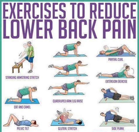 Lower Back Exercises: Ease Your Lower Back Pain