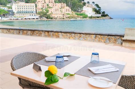 Port Soller, Mallorca stock photo. Image of coast, vacation - 248399066