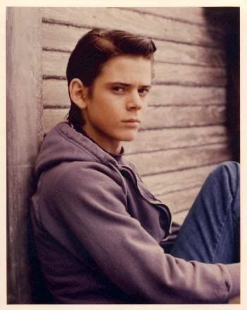 The outsiders ponyboy - boxcosmo