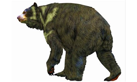 Short-Faced Bear - A-Z Animals