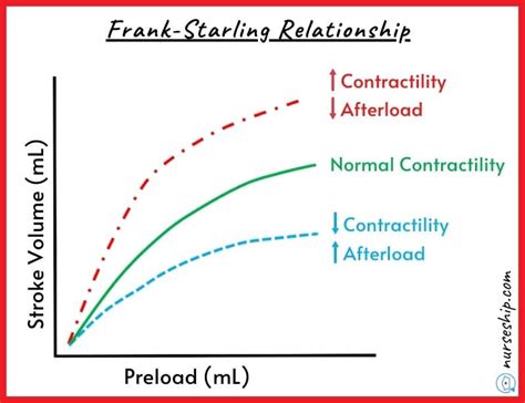 Cardiac Preload vs Afterload vs Contractility |With an example - NurseShip