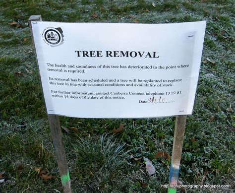 Tofu Photography: Tree removal sign