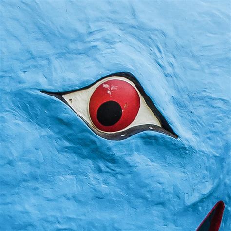 Blue Whale Eye Route 66 Photograph by Bert Peake - Fine Art America