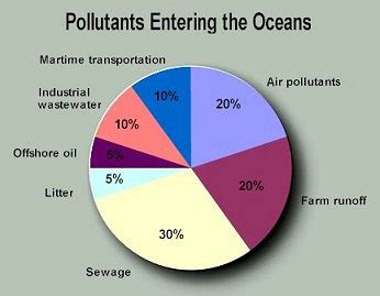 Statistics & Graphs - Ocean Pollution