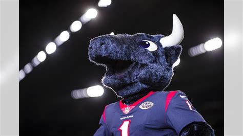 Texans Mascot