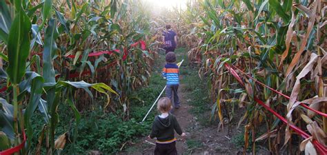 ARTery’s Ultimate Guide To Corn Mazes | The ARTery