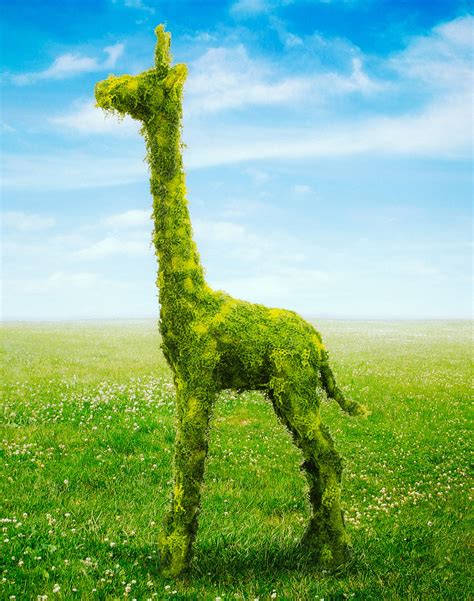 NVISION Creative | Topiary Animals