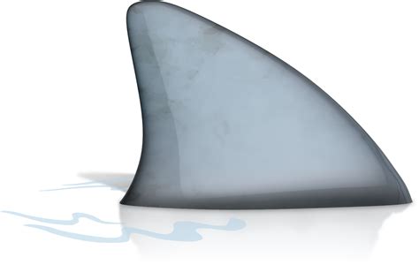 Shark Fin Png Picture Sharp Shark Fin Clip Art Shark Fin Clipart | The Best Porn Website