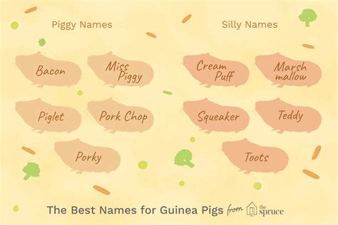 100 Names for Pet Guinea Pigs