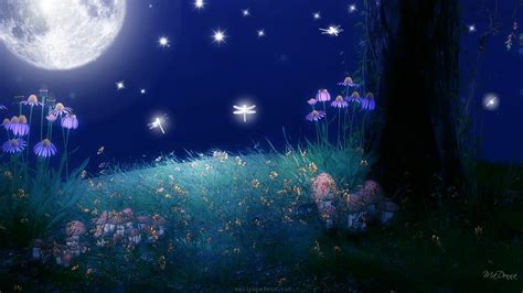 tumblr_static_twilight-of-the-moon-bright-flowers-full-moon-glow-grass-light-sky-stars.jpg (1920 ...