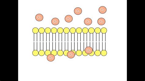 Simple Diffusion Animation - YouTube