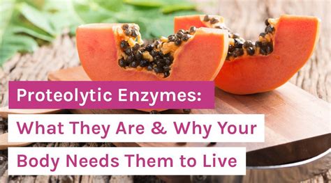 Proteolytic Enzymes: What They Are & Why Your Body Needs Them to Live - Organixx