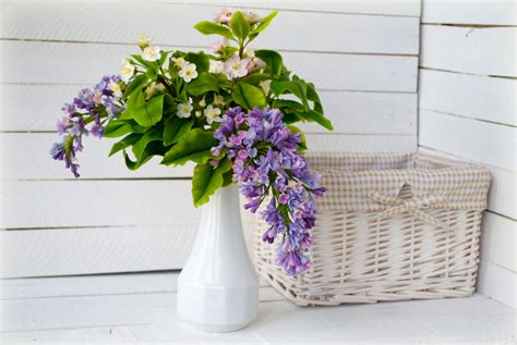 Lilac flower arrangements Spring bouquet Lilac by WowBloomRoom