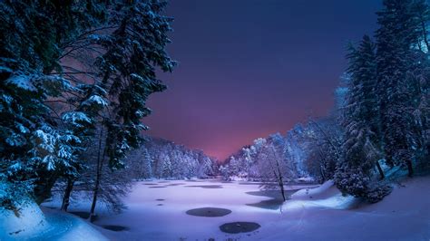 Snowy Forest at Night Wallpapers - Top Free Snowy Forest at Night Backgrounds - WallpaperAccess