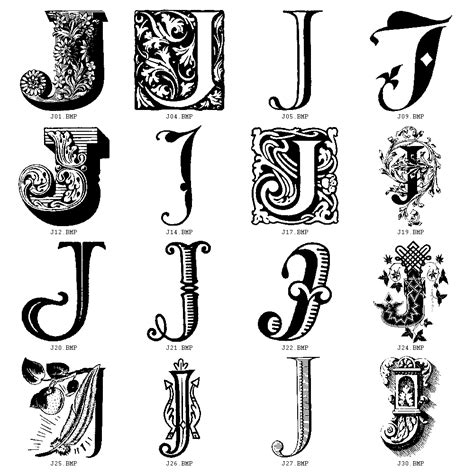 Fancy Calligraphy Fancy Letter L Design - naianecosta16