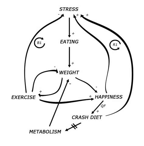 Causal Loop Diagram [CLD] | Agile Pain Relief Consulting