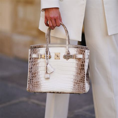 Hermes Birkin 30 Bag Diamond Himalaya Blanc Crocodile White Gold Hardware | lupon.gov.ph