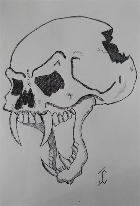 Vampire Skull Drawing