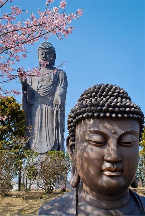 Big Buddha Statue in Narita, Japan. Stock Photo - Image of spiritual, ancient: 99260880