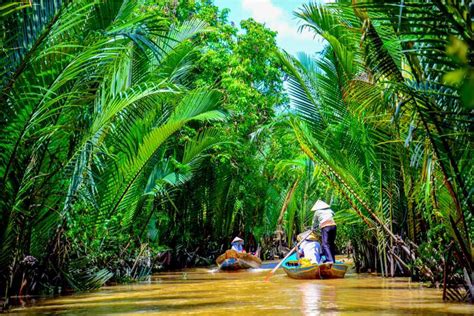 Mekong Delta Tourism (2024) - Vietnam > Top Places, Travel Guide | Holidify