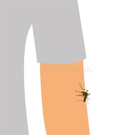 Insect Bites Prevention Stock Illustrations – 85 Insect Bites Prevention Stock Illustrations ...