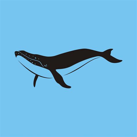 vector whale illustrations - Vector in 2023 | Whale illustration, Whale, Illustration