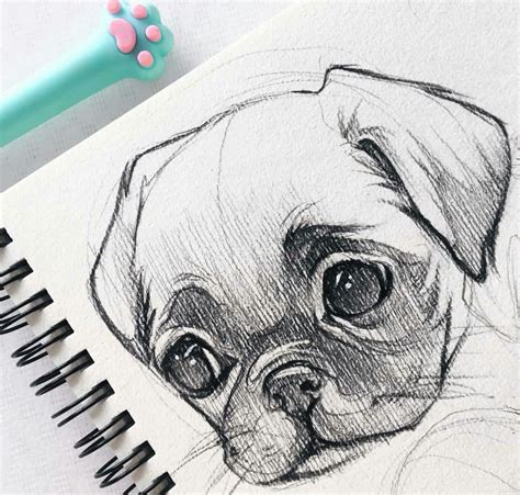 Easy Cute Animal Drawing Ideas