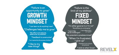 5 Growth Mindset Examples That You Can Use in Your Job Tomorrow - RevelX | Blog