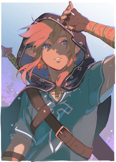 Link Botw Icon