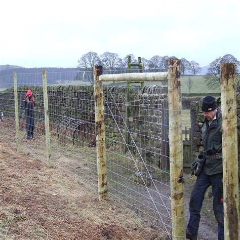 Deer Fencing Installation - Tornado Wire Ltd