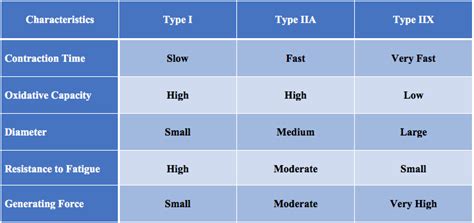 Muscle Fiber Types and Training - Elite FTS | EliteFTS