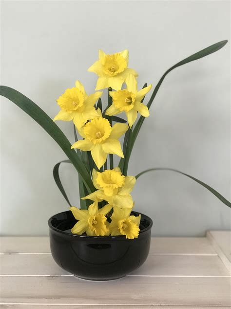 Daffodil flower arrangement Ikebana,spring flower | Easter flower arrangements, Easter flowers ...