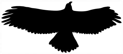 Free Flying Hawk Silhouette, Download Free Flying Hawk Silhouette png images, Free ClipArts on ...