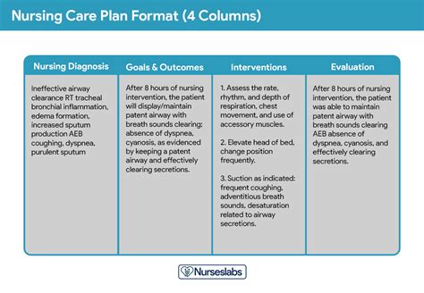 Nursing Care Plan (NCP): Ultimate Guide & List [2024 Update] - Nurseslabs