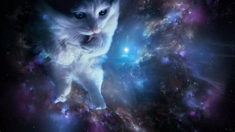 Cats in Space Wallpapers - Top Free Cats in Space Backgrounds - WallpaperAccess