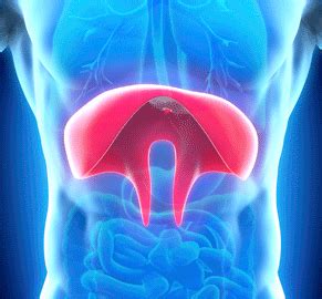 NeuRx Diaphragm Pacing System™ for ALS - AAPC Knowledge Center