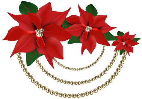 christmas poinsettias clipart 20 free Cliparts | Download images on Clipground 2020