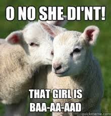 15 Sheep Memes Will Have You Giggling All Day | Funny sheep, Funny animal quotes, Goats funny